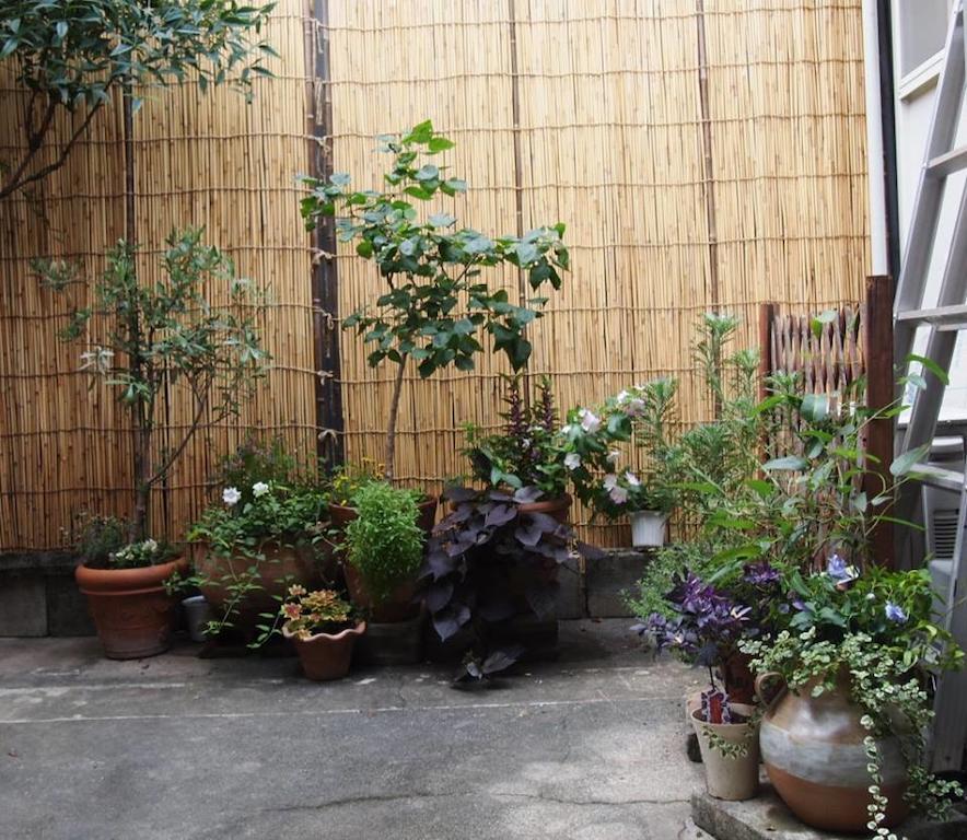 Guesthouse Usagi-Momiji Kyoto Exterior foto